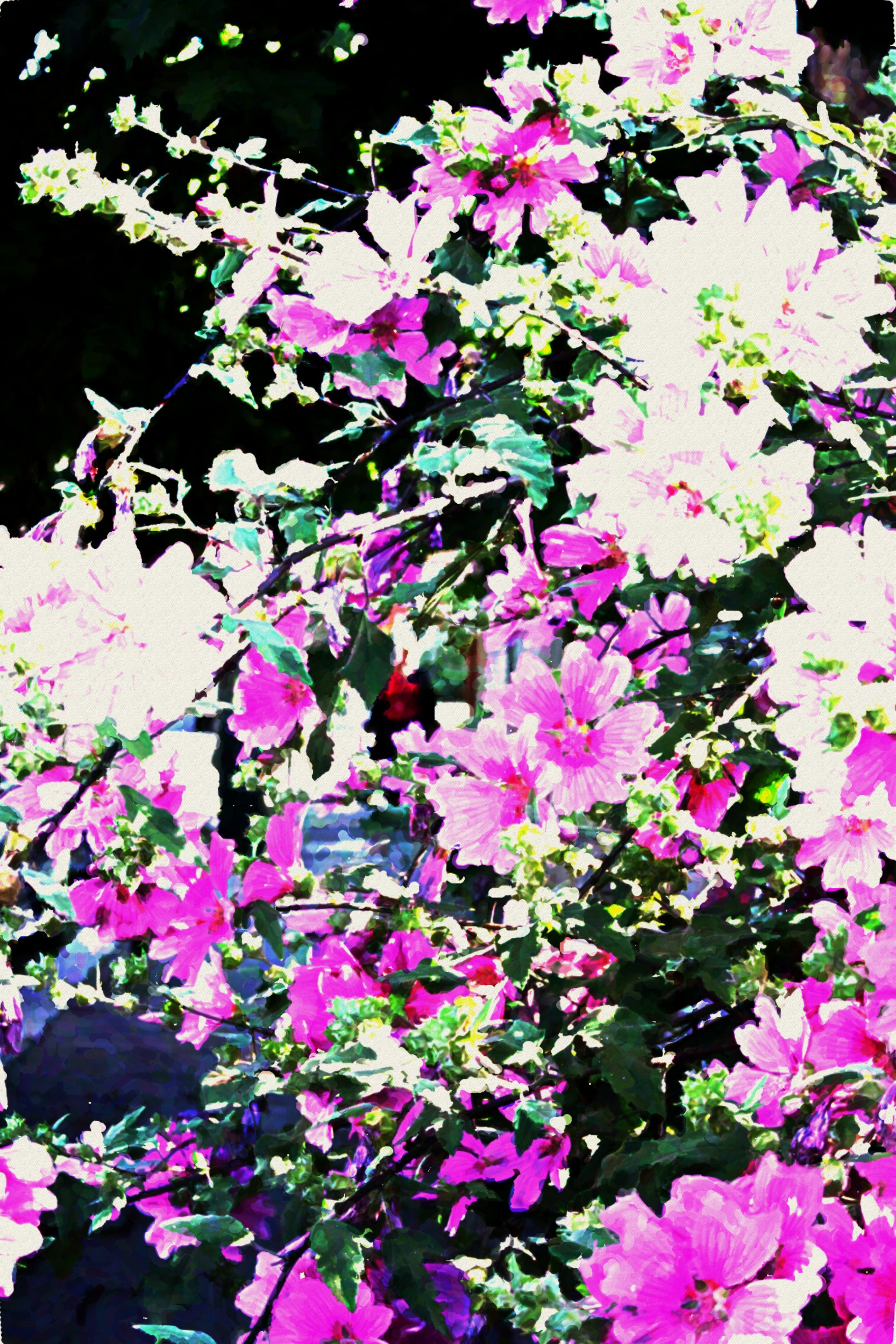 flowers