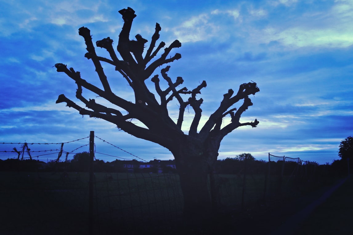 Hatton Cross